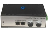 Media Converter HO-LINK | Bộ chuyển đổi quang công nghiệp 10/100/1000Mbps HO-LINK G-IES-2SFP2EG-20S