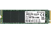 Ổ cứng Transcend | Ổ cứng SSD PCIe M.2 2TB Transcend TS2TMTE110S