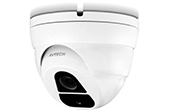 Camera IP AVTECH | Camera IP Dome hồng ngoại 2.0 Megapixel AVTECH DGM2203ASVSEP/F36