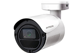 Camera IP AVTECH | Camera IP hồng ngoại 2.0 Megapixel AVTECH DGM2103ASVP/F36