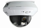 Camera IP AVTECH | Camera IP Dome hồng ngoại AVTECH AVM521CP