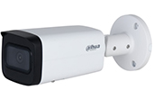 Camera IP DAHUA | Camera IP hồng ngoại 8.0 Megapixel DAHUA DH-IPC-HFW2841T-AS