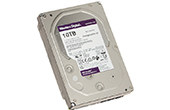 á»” cá»©ng HDD WESTERN | Ổ cứng chuyên dụng 10TB WESTERN PURPLE WD102PURX