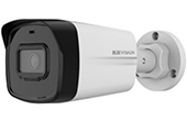 Camera IP KBVISION | Camera IP hồng ngoại 2.0 Megapixel KBVISION KX-A2111CN3