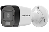 Camera IP HIKVISION | Camera IP hồng ngoại 2.0 Megapixel HIKVISION DS-2CD1021G2-LIU