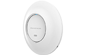 Thiết bị mạng Grandstream | GWN Enterprise-Grade Wi-Fi 6 Access Point Grandstream GWN7660E