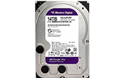 Ổ cứng HDD WESTERN | Ổ cứng chuyên dụng 14TB WESTERN PURPLE WD142PURP