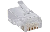 Cáp-phụ kiện D-Link | Đầu bấm dây mạng Cat6 UTP D-Link NPG-C61TRA031-100