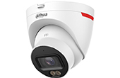 Camera IP DAHUA | Camera IP Dome 4.0 Megapixel DAHUA DH-IPC-HDW2449T-S-PRO