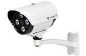 Camera VANTECH | Camera hồng ngoại VANTECH VT-3225P